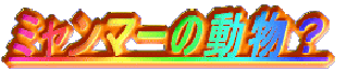 �~�����}�[�̓����H 